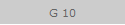 G 10